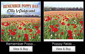 View Art & Cards Of Poppy Painting supporting The Alzheimer's Society